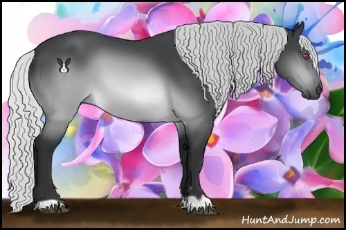 Horse Color:Silver Brown Chinchilla 