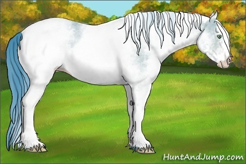 Horse Color:Watercolor White Spotted Amber Cream Champagne 