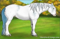Horse Color:Watercolor White Spotted Amber Cream Champagne 