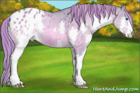 Horse Color:Watercolor Bay Dun Splash Appaloosa 