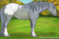 Horse Color:Painted Watercolor Brown Appaloosa 