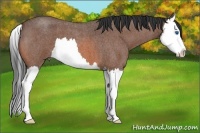 Horse Color:Bay Roan Splash