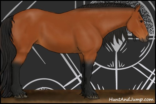 Horse Color:Gray Bay