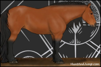 Horse Color:Gray Bay 