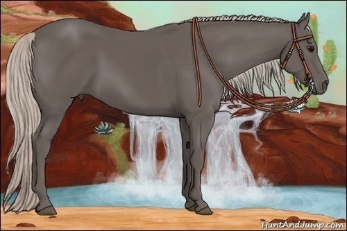 Horse Color:Silver Black Sabino 