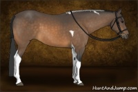 Horse Color:Buckskin Tobiano 