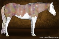 Horse Color:Nacre Silver Bay Splash