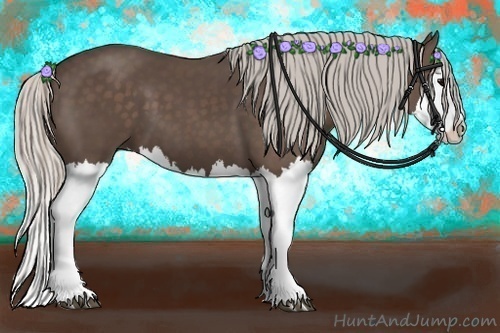 Horse Color:Silver Black Splash 