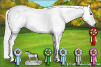 Horse Color:Gray White Spotted Bay