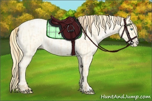 Horse Color:Buckskin Roan Pearl and Buckskin Roan Pearl
