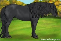 Horse Color:Black Frame 