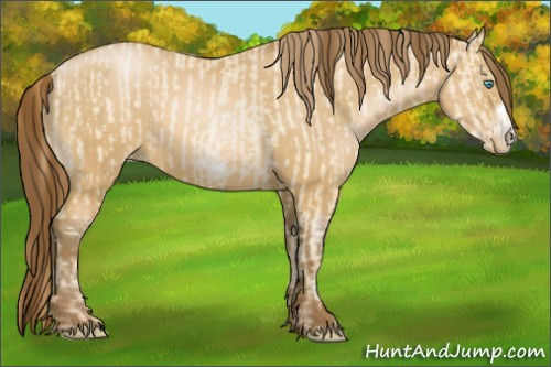 Horse Color:Buckskin Roan Pearl Frame and Gray Buckskin Roan Pearl Frame
