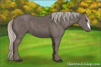 Horse Color:Silver Black