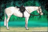Horse Color:White Spotted Palomino Pearl Dun