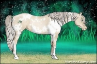 Horse Color:White Spotted Chocolate Palomino Pearl Dun