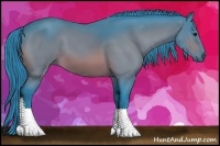 Horse Color:Watercolor Bay 