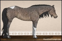 Horse Color:Buckskin Ice Tobiano 