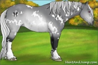 Horse Color:White Spotted Silver Brown Chinchilla 