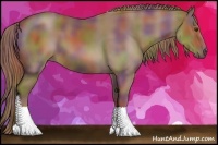 Horse Color:Nacre Chestnut 