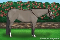 Horse Color:Smoky Grullo Sabino 