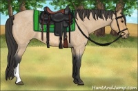 Horse Color:Buckskin Roan 