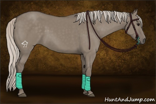Horse Color:Silver Grullo 