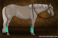 Horse Color:Silver Grullo 