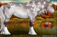 Horse Color:White Spotted Chocolate Silver Brown Chinchilla