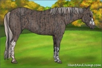 Horse Color:Black and Silver Black
