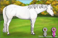 Horse Color:Silver Bay Dun Appaloosa