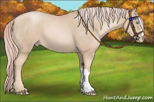 Horse Color:Palomino Pearl 