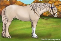 Horse Color:Palomino Pearl