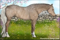 Horse Color:Liver Chestnut Rabicano