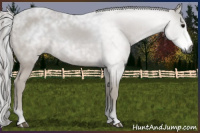 Horse Color:Gray Smoky Black 