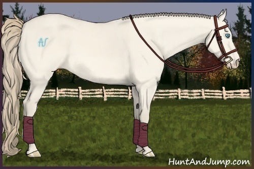 Horse Color:Perlino Dun