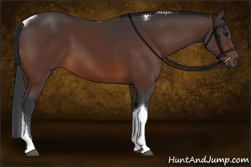 Horse Color:Brown Sabino Tobiano