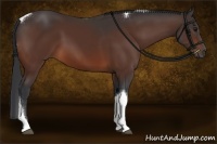 Horse Color:Brown Sabino Tobiano