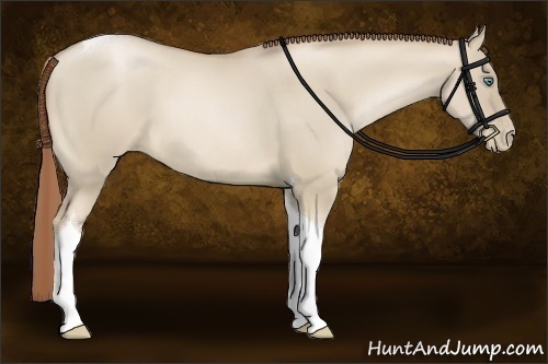 Horse Color:Smoky Grullo Pearl Tobiano 