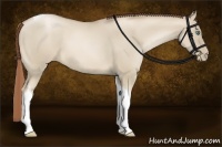 Horse Color:Smoky Grullo Pearl Tobiano