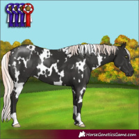 Horse Color:White Spotted Liver Chestnut Mushroom