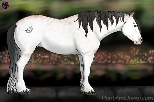 Horse Color:White Spotted Bay Splash 