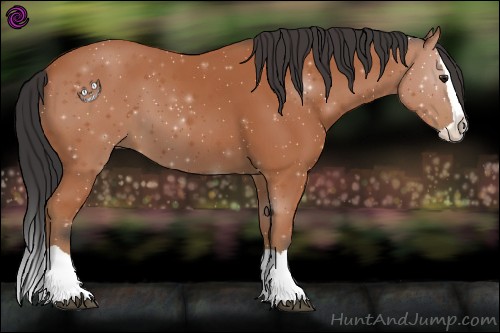 Horse Color:Bay Splash 