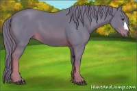 Horse Color:Watercolor Chestnut 