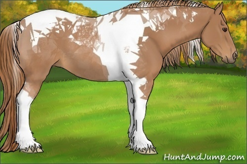 Horse Color:Chestnut Tobiano 