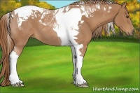 Horse Color:Chestnut Tobiano