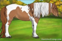 Horse Color:Chestnut Tobiano