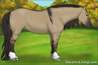 Horse Color:Liver Red Dun 