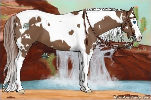 Horse Color:White Spotted Chestnut Splash Tobiano 