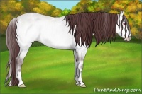 Horse Color:White Spotted Chocolate Sable Champagne Chinchilla Onyx