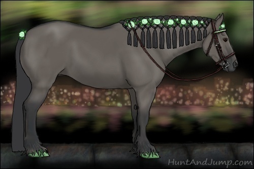 Horse Color:Grullo